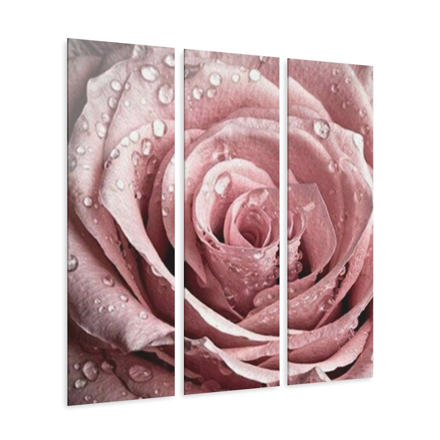 Acrylic Prints (Triptych)